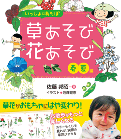 いっしょにあそぼ草あそび花あそび 春夏編
