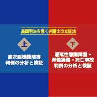 特集ページ 高額判決を導く弁護士の立証法