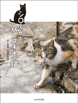 シロくんとパレスチナの猫